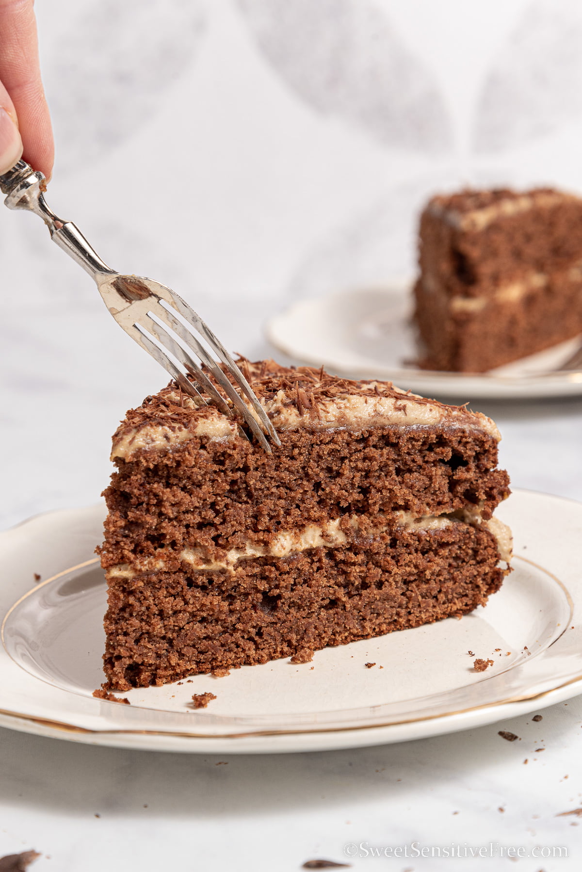 slice of chocolate cake with coffee filling