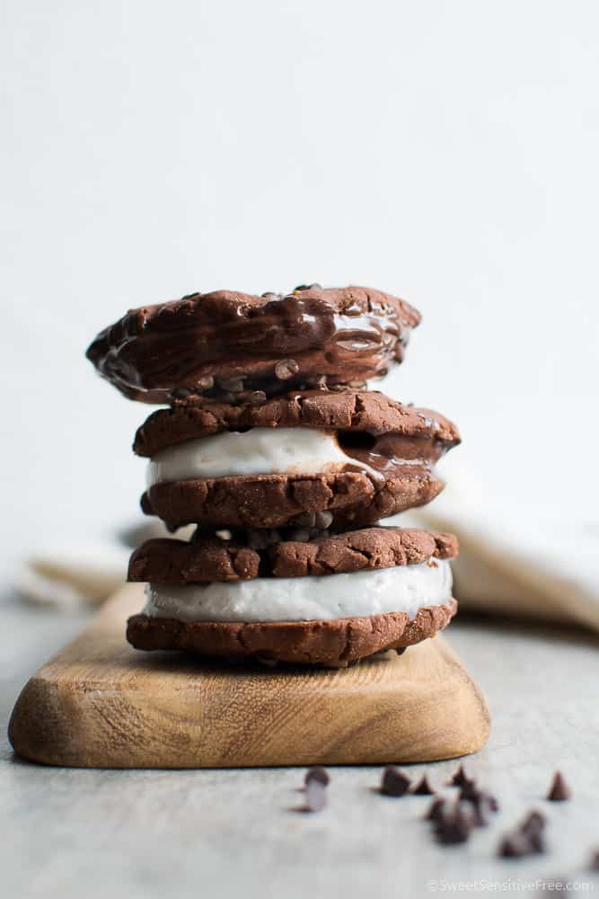 Gluten free vegan ice cream sandwich with chocolate cookies recipe