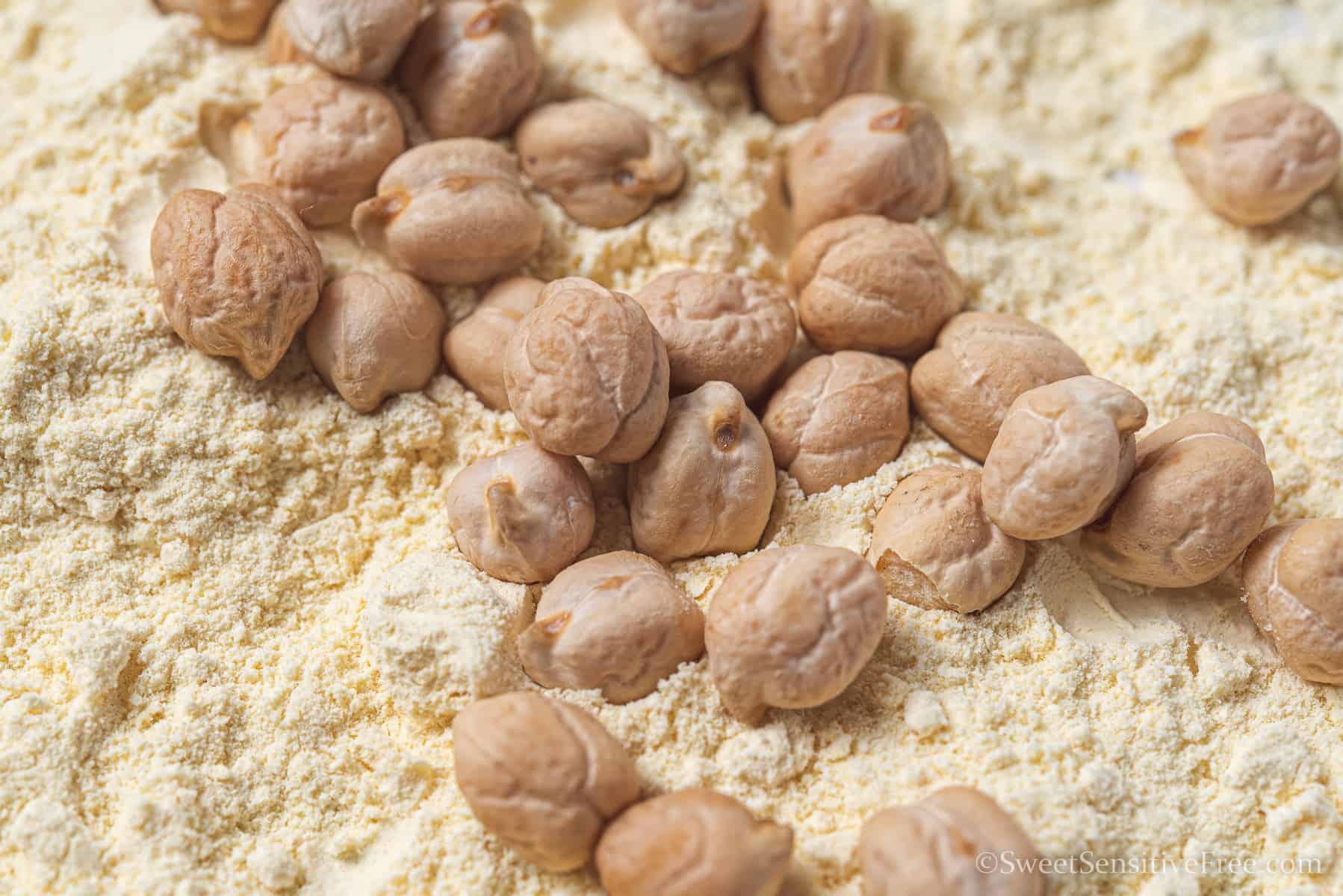 closeup of dried chickpeas