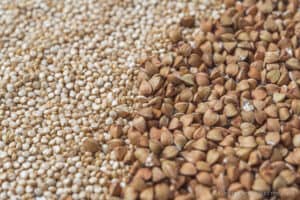 closeup of quinoa buckwheat seeds