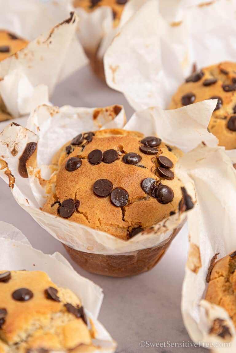 Vegan Gluten free Chocolate Chip Muffins