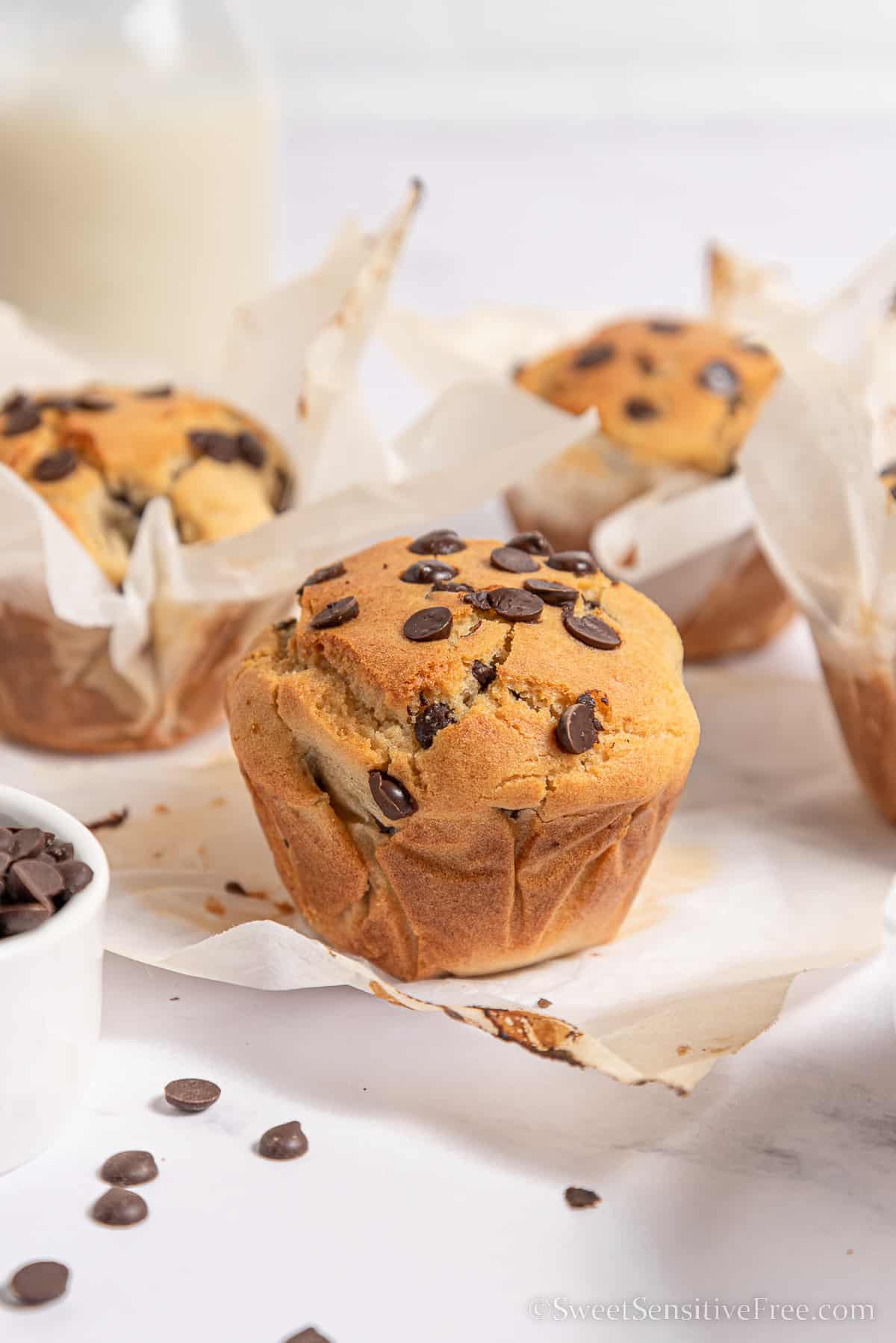 closeup of a whole gluten free muffin with chocolate chips