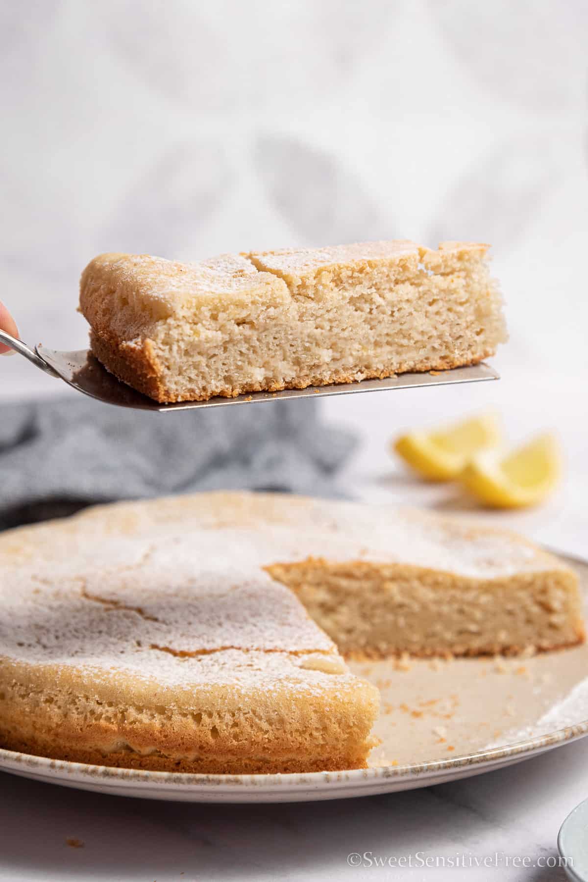 slice of gluten free sponge cake
