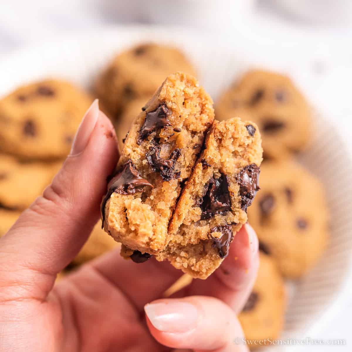 gluten dairy egg free peanut butter cookies